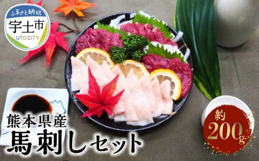 118-5 熊本県産馬刺しセット約200g(赤身100g・コウネ100g) ※タレ、生姜付