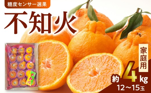 135-4 澤田果物【家庭用】糖度センサー選果 不知火 約4kg 12~15玉