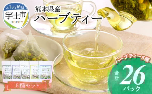 42-15　熊本県産農薬不使用ハーブティー　５種セット