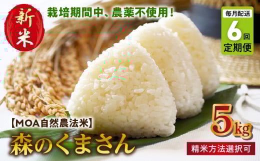 T6-70-270_3 【定期便6回】\☆新米☆/カワノ農園 MOA自然農法米「森のくまさん」五分搗5kg