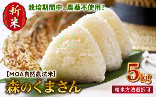 70-270_2 先行予約\☆新米☆/カワノ農園  MOA自然農法米「森のくまさん」七分搗き5kg