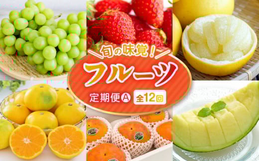 【フルーツ定期便A】2026年旬の味覚限定セット!