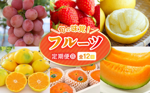【フルーツ定期便B】2026年旬の味覚限定セット!