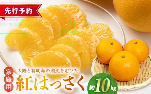 54-16 【先行予約】福島オレンジ農園 紅ハッサク 約10kg(Lサイズ)