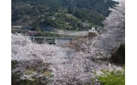 1．地域の活性化を推進する力を応援します。