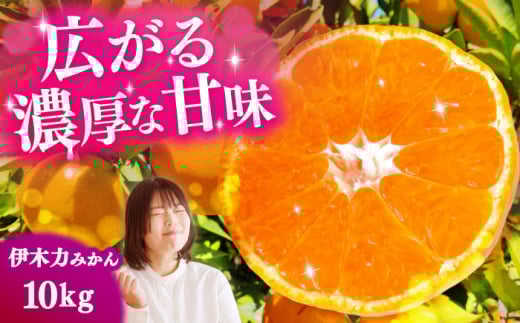 伊木力みかん 10kg（箱込み）長与町/岩永農園 [EAZ007]