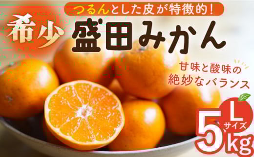 【数量限定】盛田みかん Lサイズ 約5kg（約40～45個前後）ー2025年12月より発送ー 長与町/山口農園 [EBI003] 盛田 もりた みかん 柑橘 果物 くだもの フルーツ 季節限定 先行予約 数量限定 希少 稀少 温州みかん ミカン 5kg 産地直送 長崎県産 長与町