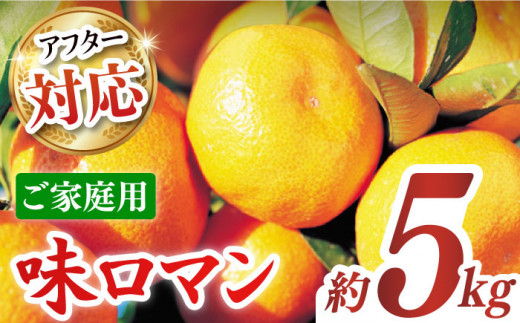 [ご家庭用]味ロマン 約5kg(約50〜60個)ー2025年11月下旬より発送ー 長与町/長崎西彼農業協同組合 長与支店 [EAH004] みかん ミカン みかん 先行予約