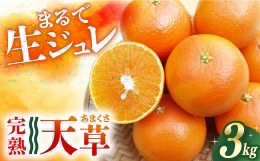 【ご家庭用】 天草 （あまくさ） 3kg ー2026年2月より発送ー 長与町/果豊園 [ECL002] みかん ミカン 柑橘 かんきつ フルーツ 果物 完熟 季節限定 家庭用 先行予約 長崎県産 長与町