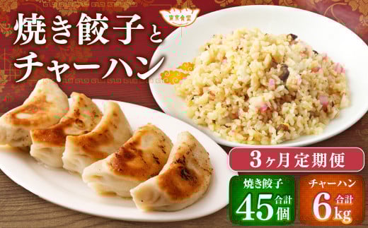 【3ヶ月定期便】東京食堂のチャーハンと焼き餃子(各5パック×3回)合計30パック 2種 セット 冷凍 餃子 ぎょうざ ギョウザ 炒飯