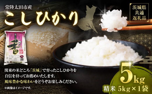 【令和6年産】茨城県産こしひかり 精米5kg(茨城県共通返礼品・常陸太田市産)   / コシヒカリ 米 お米 こめ おこめ コメ 白米 ご飯 ごはん