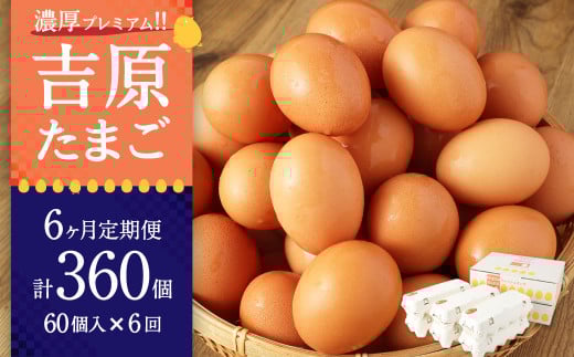 【6ヶ月定期便】濃厚プレミアム!!吉原たまご2箱 30個入り×2箱 計60個(54個+割れ保証6個) 卵 たまご