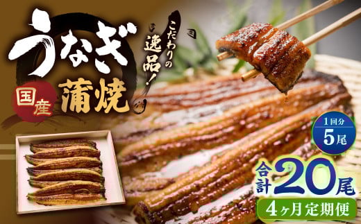【4ヶ月定期便】 蒲焼きうなぎ 5尾 (国産) / 鰻 うなぎ ウナギ 蒲焼き 蒲焼 うなぎの蒲焼 鰻の蒲焼き たれ付き 自家製たれ 山椒 冷蔵 国産