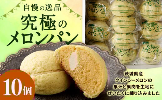 自慢の逸品! 究極のメロンパン 10個入×1箱 メロンパン 菓子パン パン