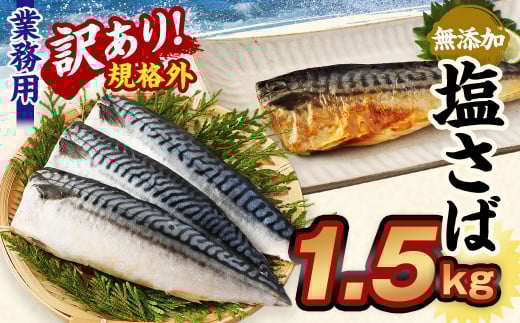 【訳あり規格外】 業務用無添加塩さば 1.5kg 鯖 さば 塩サバ 干物 魚