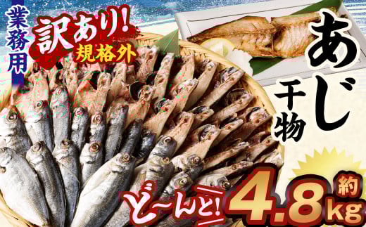 【訳あり規格外】  業務用 あじ 干物 どーんと! 4.8kg アジ 鯵 魚