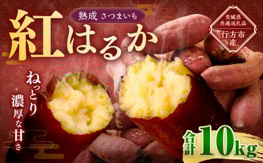 “熟成” 茨城県産 さつまいも 【 紅はるか 】 約10kg (茨城県共通返礼品・行方市産) 芋 いも サツマイモ 野菜 やさい 国産