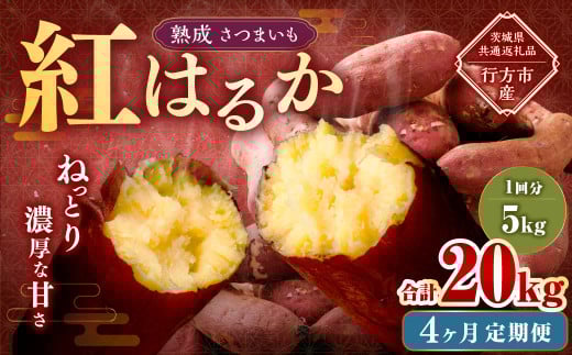 【4ヶ月定期便】“熟成”茨城県産さつまいも【紅はるか】約5kg (茨城県共通返礼品・行方市産)合計約20kg 芋 いも サツマイモ 野菜 やさい 国産