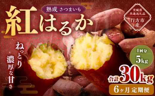 【6ヶ月定期便】“熟成”茨城県産さつまいも【紅はるか】約5kg (茨城県共通返礼品・行方市産)合計約30kg 芋 いも サツマイモ 野菜 やさい 国産