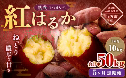 【5ヶ月定期便】“熟成”茨城県産さつまいも【紅はるか】約10kg (茨城県共通返礼品・行方市産)合計約50kg 芋 いも サツマイモ 野菜 やさい 国産
