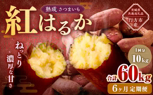 【6ヶ月定期便】“熟成”茨城県産さつまいも【紅はるか】約10kg (茨城県共通返礼品・行方市産)合計約60kg 芋 いも サツマイモ 野菜 やさい 国産