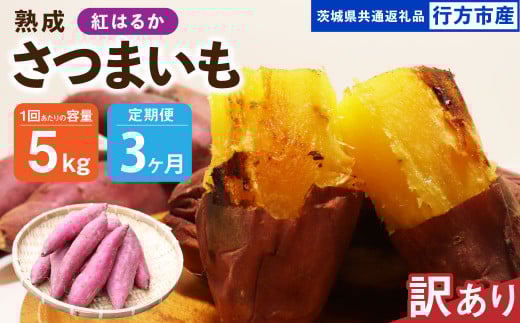 【3ヶ月定期便】【訳あり】“熟成”茨城県産さつまいも【紅はるか】約5kg(茨城県共通返礼品・行方市産)合計約15kg 芋 いも サツマイモ 野菜 やさい 国産