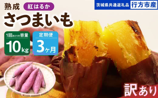 【3ヶ月定期便】【訳あり】“熟成”茨城県産さつまいも【紅はるか】約10kg(茨城県共通返礼品・行方市産)合計約30kg 芋 いも サツマイモ 野菜 やさい 国産