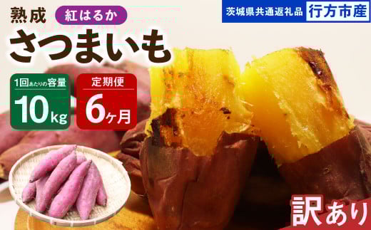 【6ヶ月定期便】【訳あり】“熟成”茨城県産さつまいも【紅はるか】約10kg(茨城県共通返礼品・行方市産)合計約60kg 芋 いも サツマイモ 野菜 やさい 国産