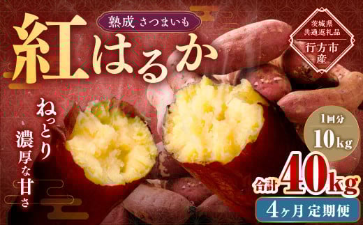 【4ヶ月定期便】“熟成”茨城県産さつまいも【紅はるか】約10kg (茨城県共通返礼品・行方市産)合計約40kg 芋 いも サツマイモ 野菜 やさい 国産