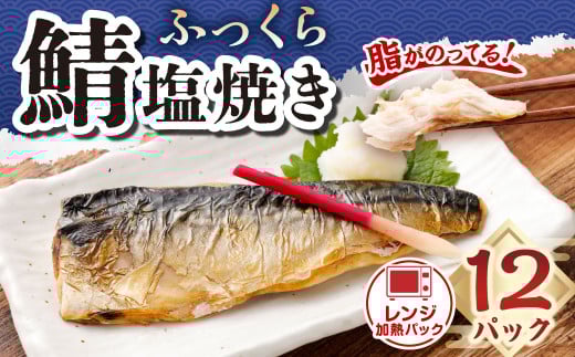 ふっくら鯖塩焼き レンジ加熱パック12食入 | 鯖 サバ さば 塩焼き おかず 冷凍 茨城県 神栖市