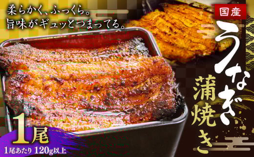ウナギ 蒲焼き 1尾 約140g以上 鰻 うなぎ かば焼き 蒲焼 魚 お魚 さかな 国産