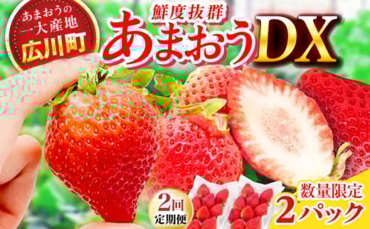 [2回定期便]博多あまおう 1ケース(270g×2P) いちご 苺 フルーツ 果物 くだもの イチゴ ふるーつ 旬 福岡県産 小分け 広川町 / JAふくおか八女農産物直売所どろや [AFAB018]