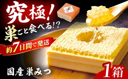 国産巣みつ 300g 蜂蜜 はちみつ ハチミツ コムハニー 極上はちみつ 濃厚ハチミツ 国産蜂蜜 スピード配送 広川町 / 株式会社九州蜂の子本舗 [AFAI004] はちみつ 蜂蜜 ハチミツ/ 株式会社九州蜂の子本舗 [AFAI004] はちみつ 蜂蜜 ハチミツ