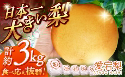 【12月上旬発送開始】愛宕 梨 約3kg (3玉～5玉) フルーツ 果物 なし ナシ くだもの 旬 甘い 果汁 果実 広川町 / 亀井通産（株） [AFAR025]