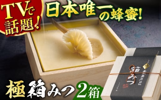 【先行受付 令和7年12月より発送】極箱みつ 2個セット 計800g (400g×2個) 蜂蜜 はちみつ ハチミツ 高級 濃厚 バター ハニー クリーム 箱蜜 蜂蜜 広川町 / 株式会社九州蜂の子本舗 [AFAI014]