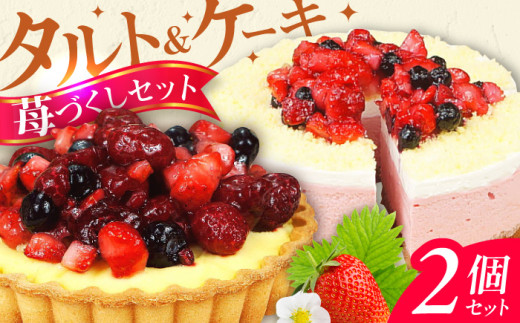 【11月末まで！クリスマスに間に合う！】ケーキ・タルトセット（苺のムースケーキ・ベリーベリータルト） すいーつ いちご イチゴ 苺ケーキ たると スイーツ デザート ベリー 洋菓子 スポンジ 冷凍 クリスマス パーティ 広川町 / イートウェル株式会社 [AFAK152]