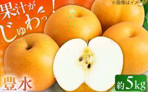 【★先行予約★ 2026年8月下旬より発送】 梨（豊水） 約5kg なし ナシ 梨 豊水 果物 くだもの 果汁 フルーツ 旬 甘い 食感 丸い 梨 なし 広川町 / JAふくおか八女農産物直売所どろや [AFAB023]