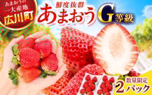 【★先行予約★　2026年2月より発送】あまおうG等級 1ケース（270g×2パック）いちご イチゴ 苺 フルーツ 果物 旬 福岡県産 小分け あまおう 博多 大きい 甘い 広川町 / JAふくおか八女農産物直売所どろや [AFAB069]