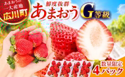 【★先行予約★　2026年2月より発送】あまおうG等級 2ケース（270g×4パック）いちご イチゴ 苺 フルーツ 果物 旬 福岡県産 小分け あまおう 博多 大きい 甘い 広川町 / JAふくおか八女農産物直売所どろや [AFAB070]