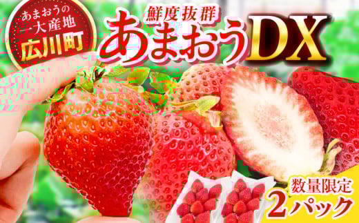 【★先行予約★　2026年2月より発送】あまおうDX等級 1ケース（270g×2パック） いちご イチゴ 苺 フルーツ 果物 旬 福岡県産 小分け あまおう 博多 大きい 甘い 広川町 / JAふくおか八女農産物直売所どろや [AFAB072]