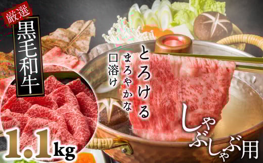 C-14.【和牛専門店がセレクト】　国産黒毛和牛　霜降り　モモ肉　しゃぶしゃぶ用　1.1kg