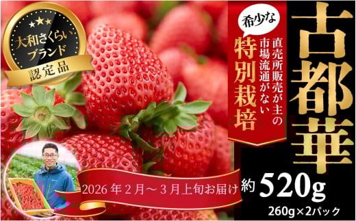 M-B6.【2月～3月上旬発送】減農薬いちご「古都華」2パック 特別栽培農産物