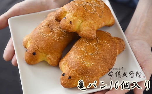 AB-54.【亀パンは「噛めパン」】安倍文殊院　亀パン　10個入り