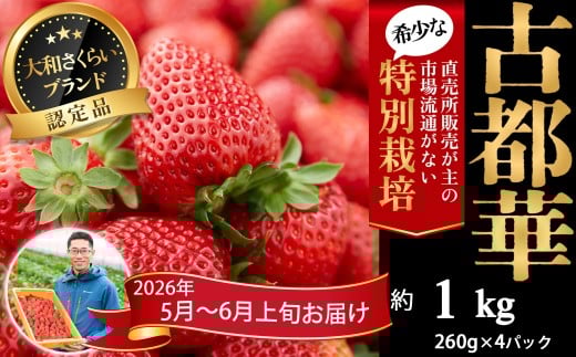 M-BH7.【5月~6月上旬発送】減農薬いちご「古都華」4パック 特別栽培農産物