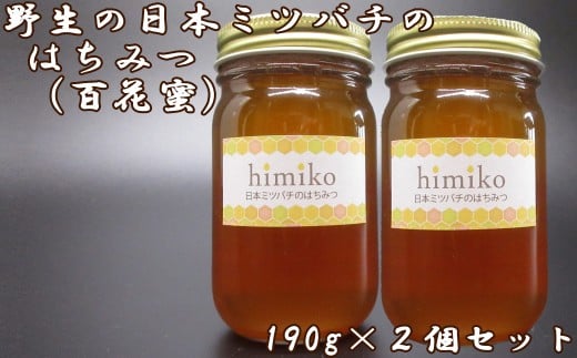 M-BA16.himiko(日本ミツバチのはちみつ)大2本