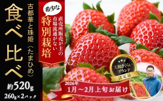 M-B8.【1月～2月上旬発送】減農薬いちご 「古都華＆珠姫」2パック 食べ比べ 特別栽培農産物