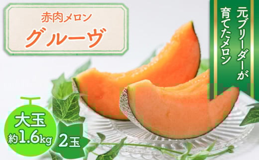 ※予約受付M-AG21.【6月〜7月頃発送】自慢の赤肉メロン 2玉「グルーヴ」