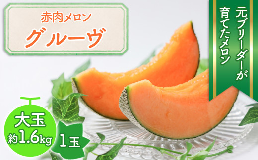※予約受付M-A39.【６月〜7月頃発送】自慢の赤肉メロン 1玉「グルーヴ」