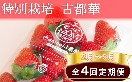 M-FE2.【2月~5月定期便】減農薬いちご「古都華」2パック 特別栽培農産物