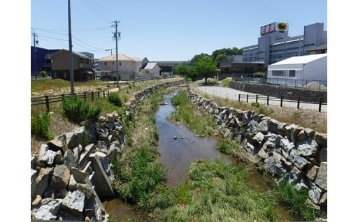 「あえて歩いてみたくなるまち」に関する事業